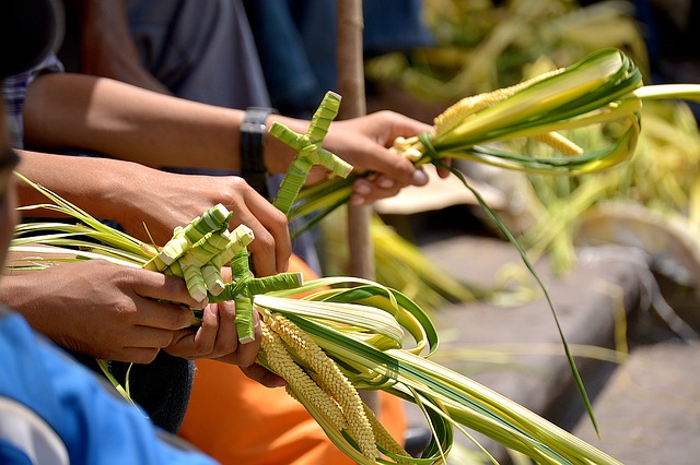 simbolo domenica delle palme